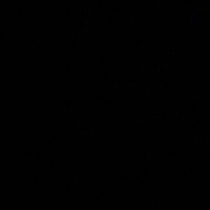 Meet your Posher, Tj